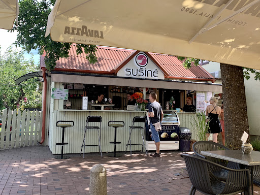 Sušinė
